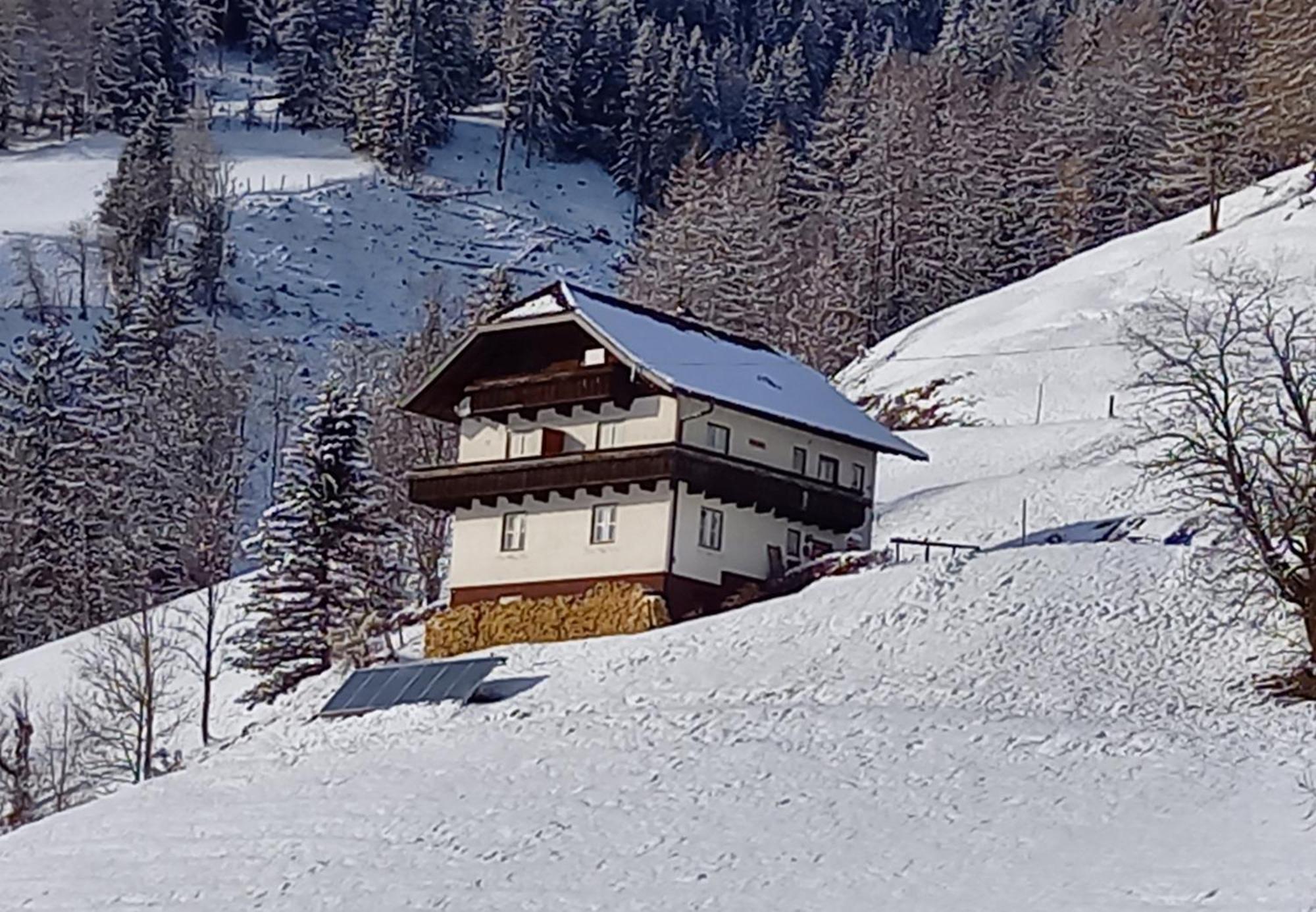 Tischnerhof Appartements Bad Kleinkirchheim Esterno foto