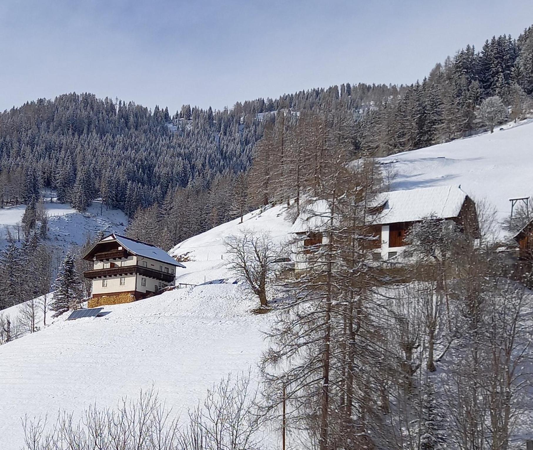 Tischnerhof Appartements Bad Kleinkirchheim Esterno foto